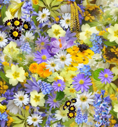 spring-flowers-flowers-collage-floral-68507-68507.jpg